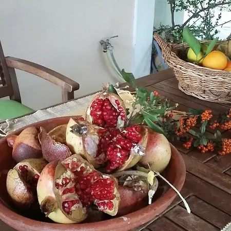 Gialova's Full-fledged Vacation *