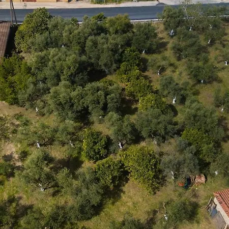 Casa vacanze Gialova's Full-fledged Vacation Gialova