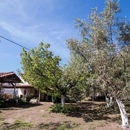 Casa vacanze Gialova's Full-fledged Vacation Gialova